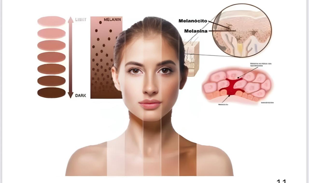 Peeling Pro Full-Face * CURSO ONLINE*